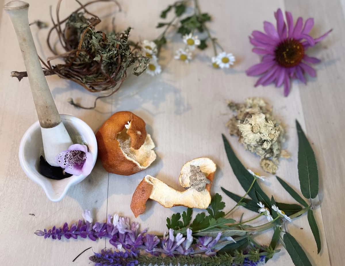 herbs pestle and mortar spread on table